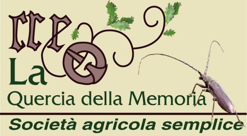 Logo Quercia della memoria